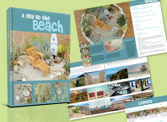 Beach Project