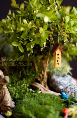 Miniature Garden Tea Party | Lush Little Landscapes